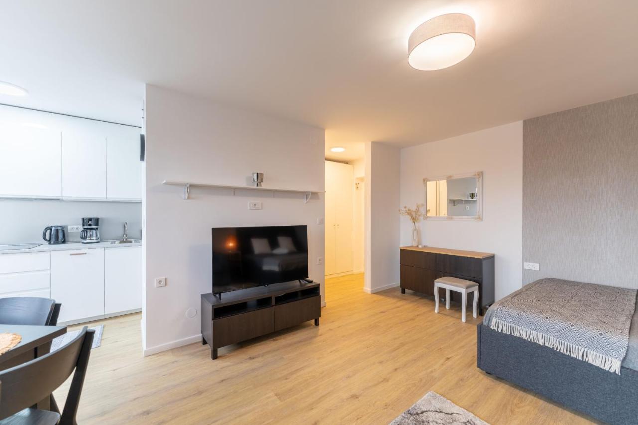 Elegant Tour As Studio Gilly With Open Views And A Balcony In The Center リュブリャナ エクステリア 写真